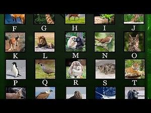 Animals Alphabet - The Kids' Picture Show! ‪@TheKidsPictureShow‬