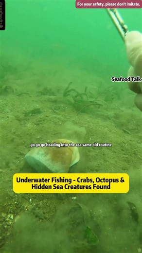 Underwater Fishing - Crabs, Octopus & Hidden Sea Creatures Found Today's low tide adventure turned into an unbelievable ocean foraging session! From hidden crabs to dangerous cone snails, this beach exploration is packed with surprises, action, and real-life survival skills. As soon as I stepped into the tide pools, I knew there was something hiding beneath the rocks. With over 30 years of experience, spotting marine life becomes instinct. Sure enough, we uncovered blue swimmer crabs, clams, squ