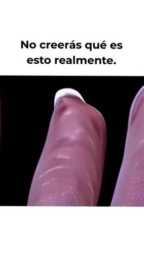 ESPIRITUALIDAD CURIOSA on Instagram: "Esto no es ciencia ficción👇😳 Es un ojo humano llevado a un nivel extremo de zoom, donde la realidad deja de parecer familiar y se vuelve casi alienígena 👽 Cuando mirás tan profundo, entendés algo simple y perturbador a la vez: incluso lo más cotidiano esconde mundos que nunca vemos. Si te gustan estos temas, ve al link de nuestro perfil 🤯🤯🤯"