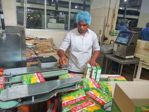 ZH-100 Multifunction automatic horizontal Cartoning Machine