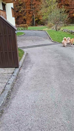 🤣🤣🤣 | Markus Kampfer