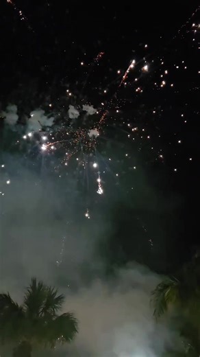 Happy New Year Everyone!! 2024 here we come!🤩 | Akiane Kramarik