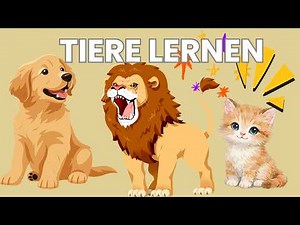 SÄUGETIERE lernen 🐾 | DER DIE DAS einfach erklärt für Kinder