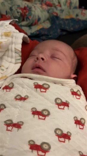 Candice French (@candicefrench12)’s videos with original sound - L E N A