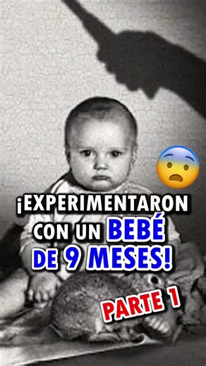 Experimento con el Bebé Albert: Historia y Fobias