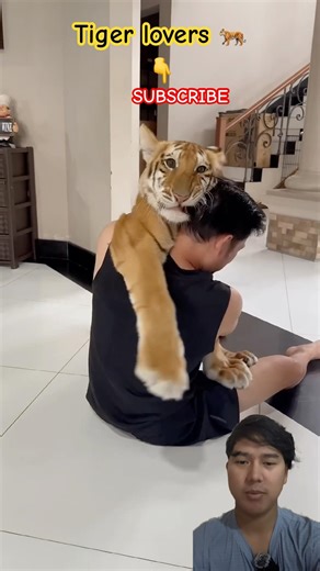 Man Hugged a Tiger 😱 | World’s Bravest Moment