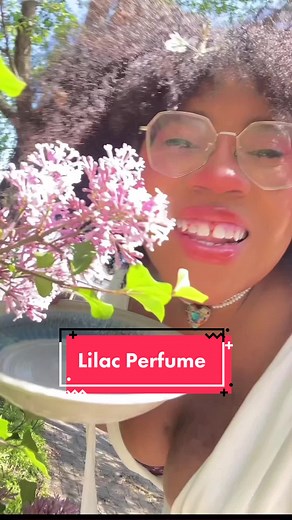 How to Make Lilac Perfume - DIY Enfleurage Scent Guide