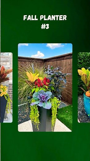 10 Fall Planters Ideas for your home. #falldecorelegance #garden #gardenideas #gardendesign #plants