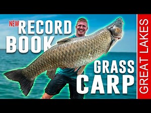 NEW RECORD BREAKING GRASS CARP!| Bowmar Bowhunting |