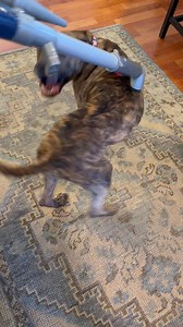 Tom Ackerman on Reels