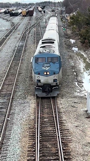Amtrak Passes Under Me at Rigby East - 3/14/26