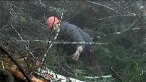 Watch Ax Men&colon; The Complete Season One&colon; Vol 4 on Amazon Live