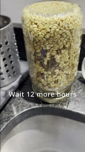 Sprouted Wheat Flour