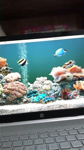 Screemsaver plus! In windows xp sp3