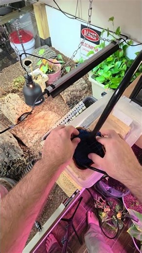 Bog filter, pre filter #turtlewatching #diy #enclosure