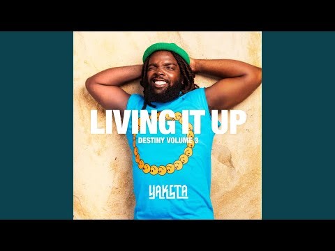 Living It Up (Destiny, Vol. 3)