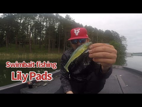 MEGABASS MAGDRAFT FREESTYLE SWIMBAIT