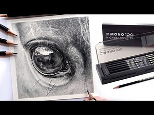 Do these pencils work to Draw a Realistic Horses Eye? - Full Spoken Tutorial