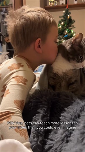 Cathy Davis on Instagram: "The lessons our animals teach the boys is something I will forever love and be thankful for 🥹 cooper was sure loving Sophie coming in to see him when it was time to wake up this morning #momlife #momsofinstagram #toddlersofinstagram #catsofinstagram #boymom"