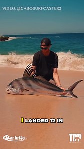 33K views · 25 reactions | HARD CORE Surf Fishing Cabo for...