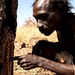 173K views · 2.1K reactions | Prehistoric Survival Story_ Alien Teaches Early Human How to Perform Cremation Rituals  | Viral video bhabhi | Facebook