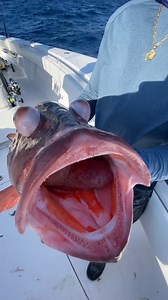 872K views · 3.6K reactions | The Creepiest Fish I’ve Ever Seen! #fishing #fish #eyes #creepy #ocean | Ryan Iz Fishing | Facebook