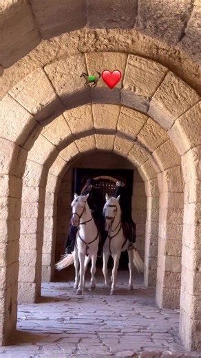 Muslim Horse Riding Islamic Video | Muslim Community