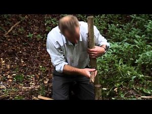 Making A Chair from Hazel Wood
