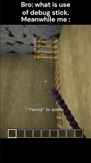 Minecraft debug stick moment & tricks