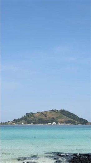 야자수 숲속에서 비양도 뷰 직관하는 제주 역대급 야영장 #제주도여행 #금능해변 #제주캠핑 #제주피크닉 #비양도뷰 #shorts