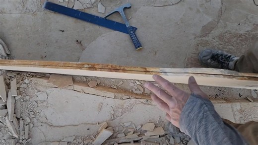 In Stone Fossils on Reels