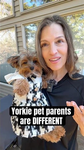 What makes Yorkie pet parents different?