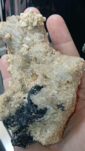 Beryl Var. Goshenite with Schorl Tourmaline. So Many Beryl Crystals! #science #gems #nature #rocks