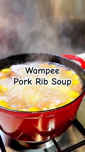 Cantonese Wampee & Pork Rib Herbal Soup | Refreshing, Sweet & Tangy Summer Soup!#shorts