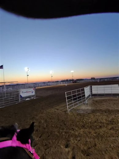 She came in to straight on into first but second and third were nice. Came in 4th in 5D not bad for her first time in the open 18.610. Great job Ladybug #lady #barrels #horse #train #love @Burawa Horse Rescue @terrenb_bhr @BRDS