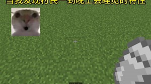 我的世界：当我发现村民一到晚上会睡觉的特性be like