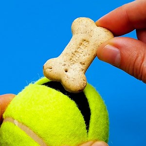 7.1M views · 24K reactions | Pawsome hacks all pet owners will love.  | Bright Side | Facebook