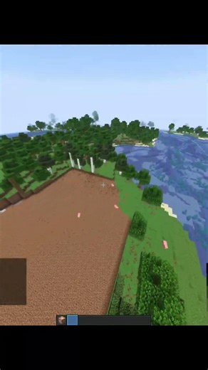 Minecraft Crazy Coomand!