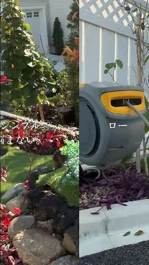自動巻き取り機能つき！オシャレなお庭にぴったりのホースリール ホゼロック#GARDEN #庭 #ホース #ガーデン #hozelock #水やり #園芸 #ガーデニング #shorts