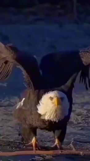 users. (@users23456718)’s videos with original sound - users.