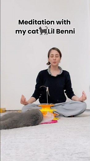 Meditate with Cat😻✨ | Relax, De-Stress & Find Inner Peace😸🐾