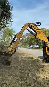 Alamo Boom mower mowing grass