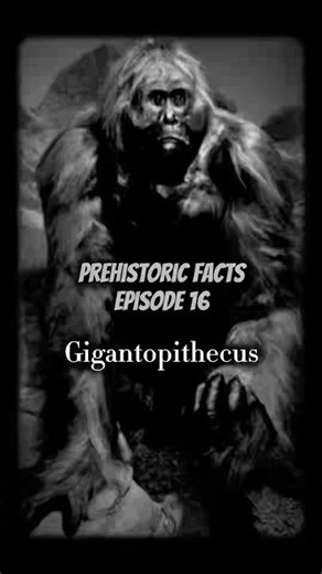 Prehistoric Facts: Episode 16 - Gigantopithecus