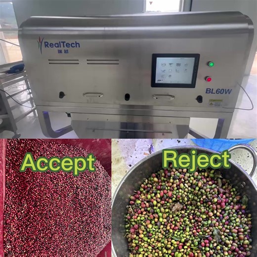 AI Common Learning Intelligent Color Sorting for Fresh Coffee Cherry Multi-function Olive Optical Sorting Machine