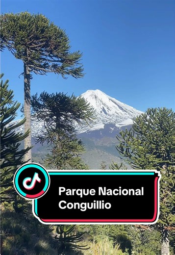 Explorando el paraíso: Un día inolvidable en el Parque Nacional Conguillío 🌿💚. Desde el majestuoso Volcán Llaima hasta el Salto Truful Truful, pasando por la Laguna Arcoíris y Laguna Verde 🌊. Un cóndor nos acompañó en el camino 🐦 y un carpintero nos sorprendió en el bosque 🌳. Agradezco a mis amigos por compartir esta aventura conmigo 🙌. ¡La naturaleza es increíble! #Conguillio #llaima #aventuras #naturaleza #parquenacional