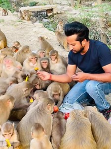 भूख क्या होती हैं आप इन सब बच्चों को देखकर अंदाजा लगा सकते हैं हम सबको मिलकर बेजुबान की ज्यादा से ज्यादा सेवा करनी चाहिए आज हनुमान जी की इस सेना को देखकर दिल खुश हो गए ❤🙏https://instagram.com/karnal_rockstars?utm_medium=copy_link Ap humare kaam ko instagram par bhi pyaar de skte ho page ko follow kre instagram ac - https://www.instagram.com/reel/Cbfk3xcJDR0/?utm_medium=copy_link Karnal Rockstars Karnal Rockstars Family | Karnal Rockstars