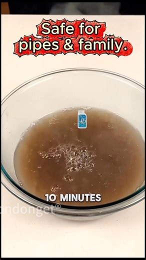 林 Poudre Superdéboucheuse – Dissout Tout et Économisez des Centaines...