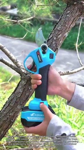 Pruning Tool Hack