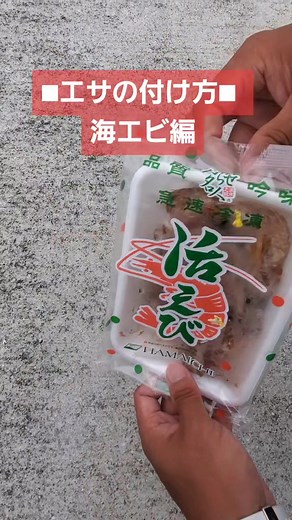 初心者🔰必見 エサの付け方! 海エビ編 #つりそく #エサ #釣り餌 #fishing #釣り #釣り #釣り部 #釣り好き #釣り好きと繋がりたい #堤防釣り #ブッ込み釣り