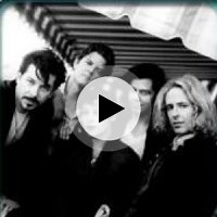 Dear Mike by The Wild Colonials